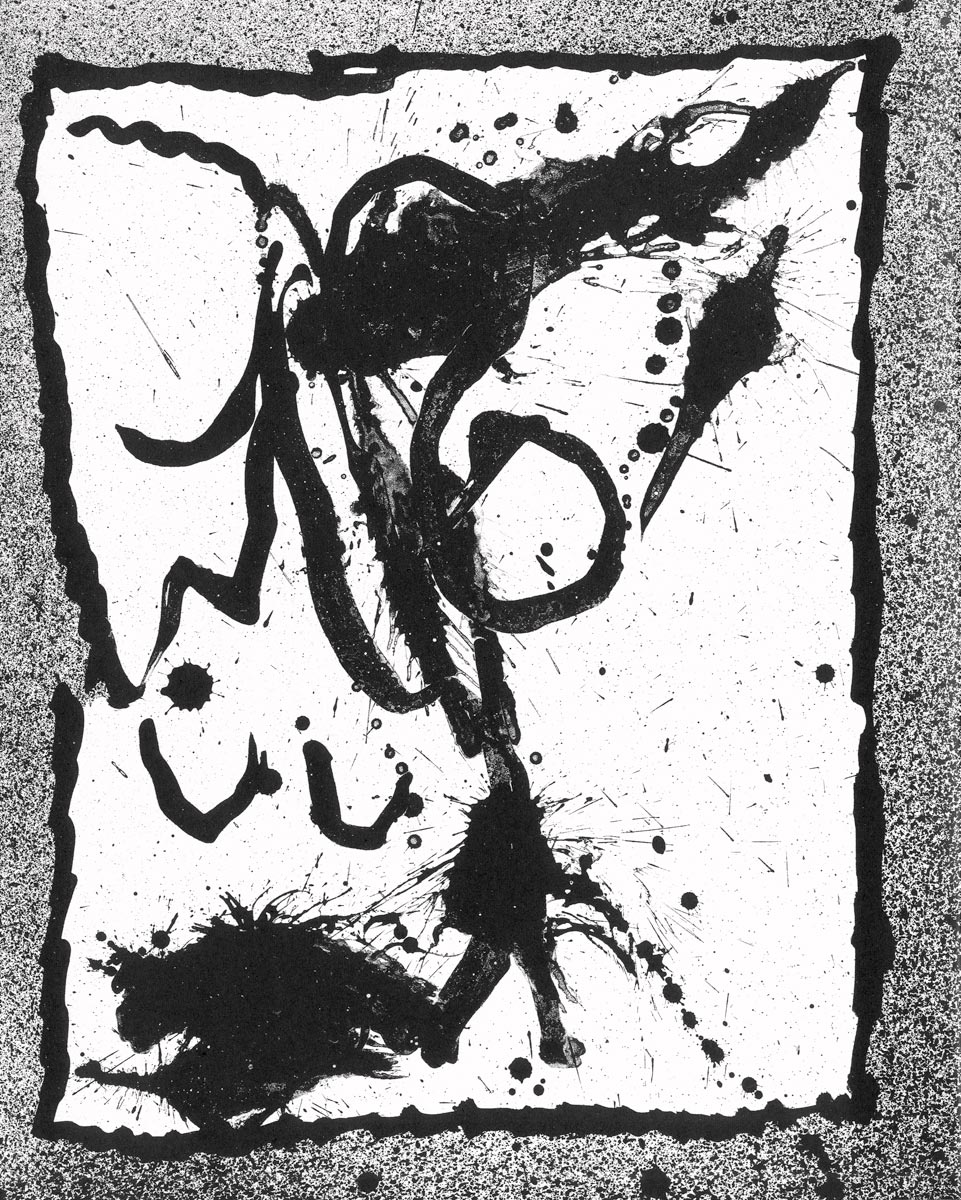 Pierre-Alechinsky-Livre-Lithographie-16-Manifestations-d-hypertrophie-calligraphique-Daily-Bul,-La-Louvière-1967