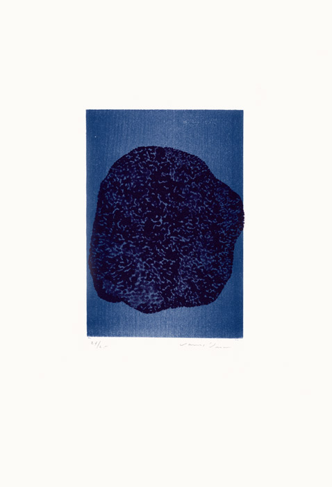 James-Brown-Estampe-Lithographie-Sponge,-seaweed-&-Coral-Atelier-Bordas,-Paris-2002